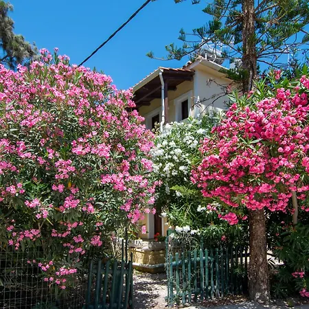 Hara Hotel apartamentowy Laganas